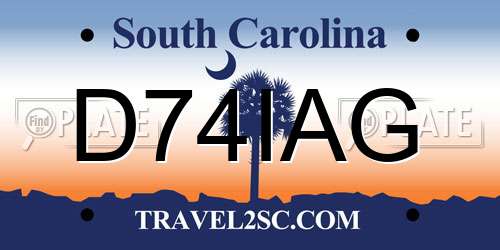 D74IAG South Carolina License Plate