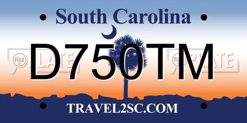 D750TM South Carolina License Plate