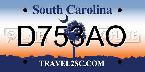 D753AO South Carolina License Plate