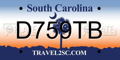 D759TB South Carolina License Plate