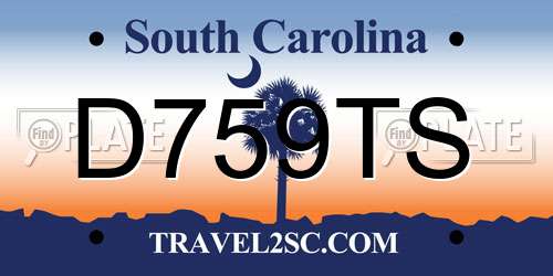 D759TS South Carolina License Plate
