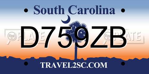 D759ZB South Carolina License Plate