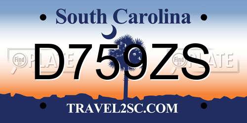 D759ZS South Carolina License Plate