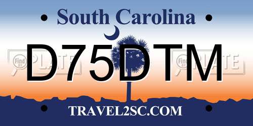D75DTM South Carolina License Plate