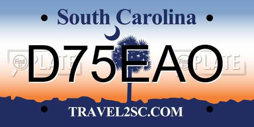 D75EAO South Carolina License Plate