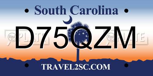 D75QZM South Carolina License Plate