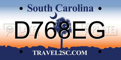 D768EG South Carolina License Plate