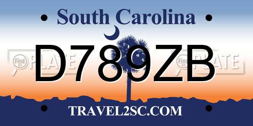D789ZB South Carolina License Plate