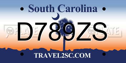D789ZS South Carolina License Plate