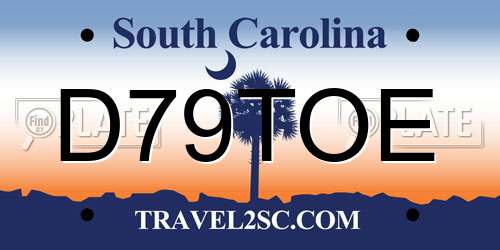 D79TOE South Carolina License Plate