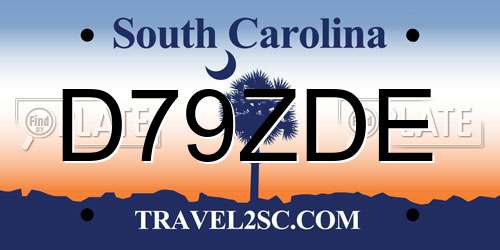 D79ZDE South Carolina License Plate