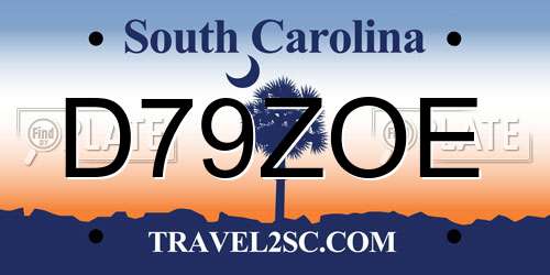 D79ZOE South Carolina License Plate