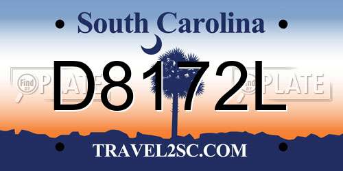 D8172L South Carolina License Plate