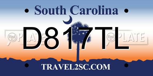 D817TL South Carolina License Plate