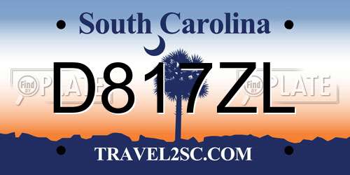 D817ZL South Carolina License Plate