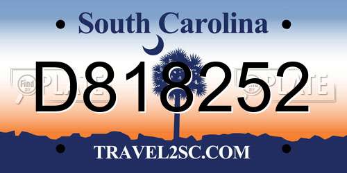 D818252 South Carolina License Plate