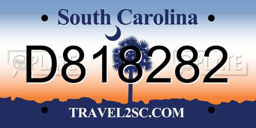 D818282 South Carolina License Plate