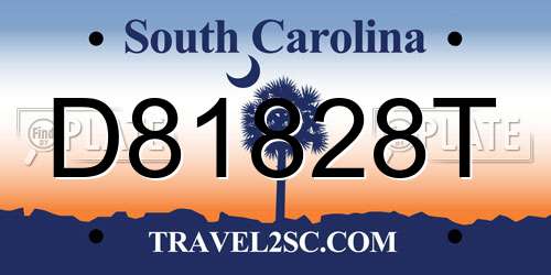 D81828T South Carolina License Plate