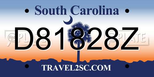 D81828Z South Carolina License Plate