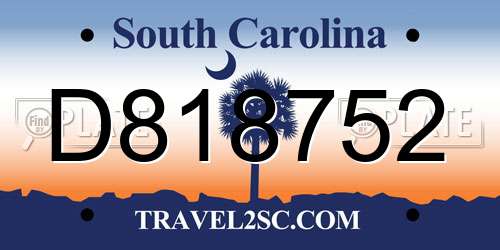 D818752 South Carolina License Plate