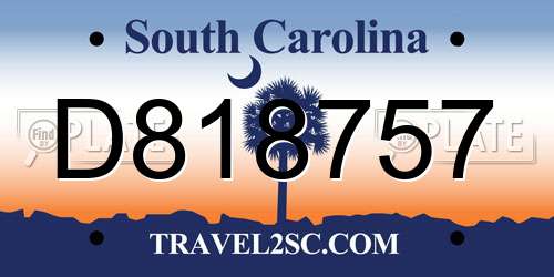 D818757 South Carolina License Plate