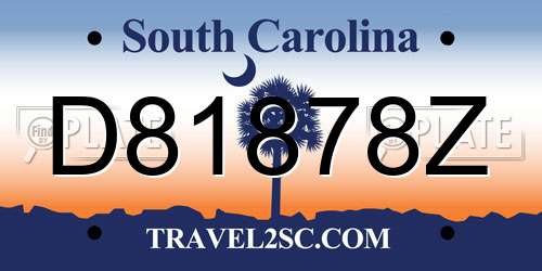 D81878Z South Carolina License Plate