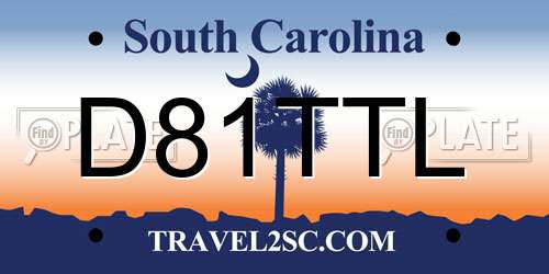 D81TTL South Carolina License Plate