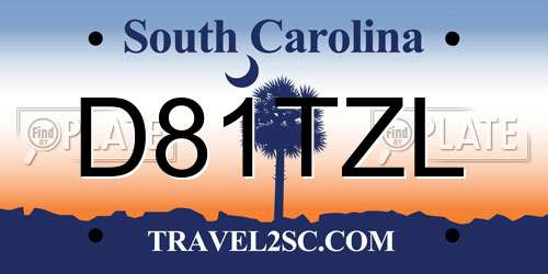 D81TZL South Carolina License Plate