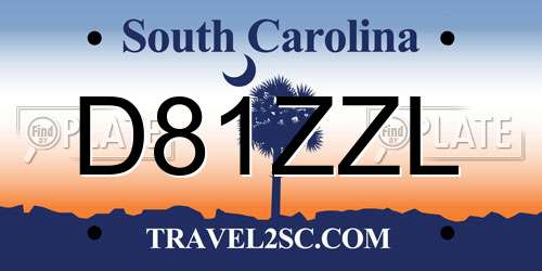 D81ZZL South Carolina License Plate