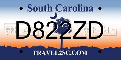 D822ZD South Carolina License Plate