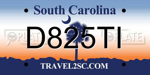 D825TI South Carolina License Plate