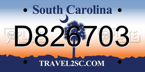 D826703 South Carolina License Plate
