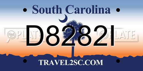 D8282I South Carolina License Plate
