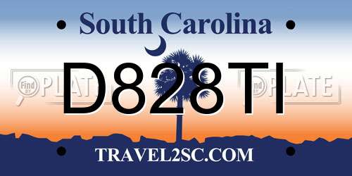 D828TI South Carolina License Plate