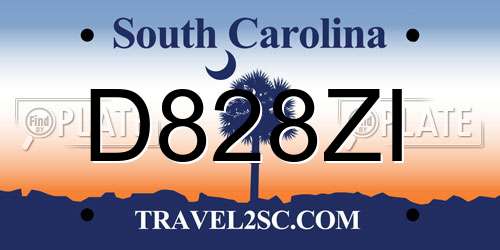 D828ZI South Carolina License Plate