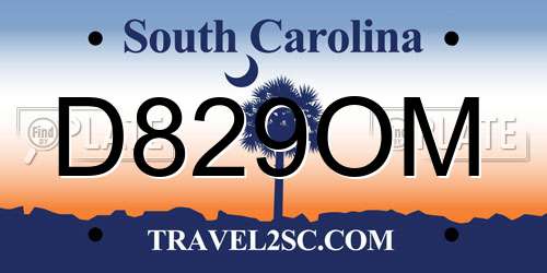 D829OM South Carolina License Plate