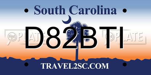 D82BTI South Carolina License Plate