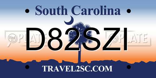 D82SZI South Carolina License Plate