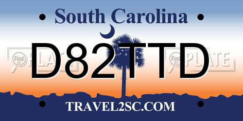 D82TTD South Carolina License Plate