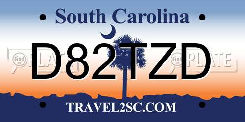 D82TZD South Carolina License Plate