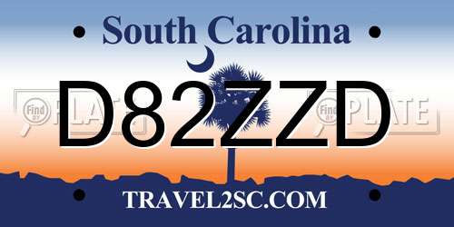 D82ZZD South Carolina License Plate