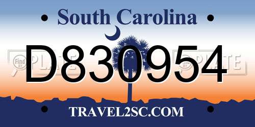 D830954 South Carolina License Plate