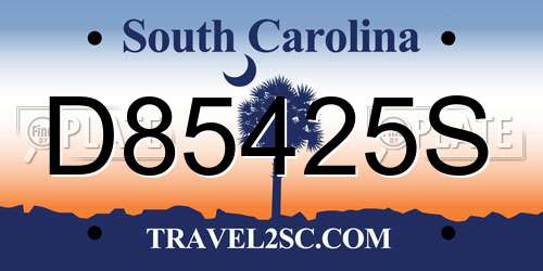 D85425S South Carolina License Plate