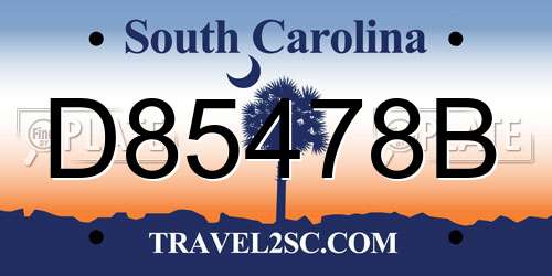 D85478B South Carolina License Plate