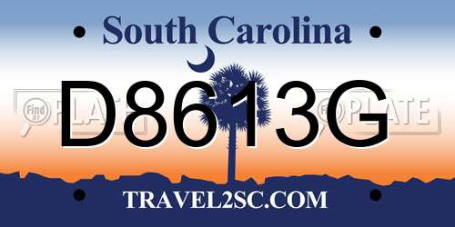 D8613G South Carolina License Plate