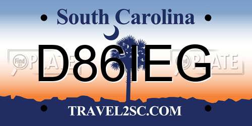 D86IEG South Carolina License Plate