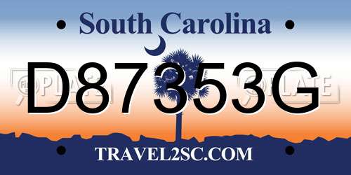 D87353G South Carolina License Plate