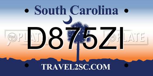 D875ZI South Carolina License Plate