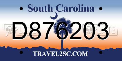 D876203 South Carolina License Plate