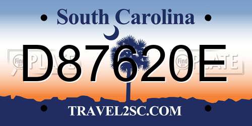 D87620E South Carolina License Plate
